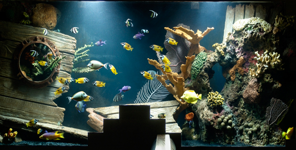 The 25 most extreme aquariums in the world