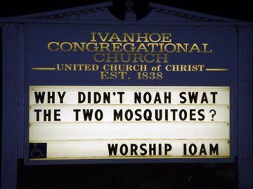 Why didn't Noah swat the two mosquitos?