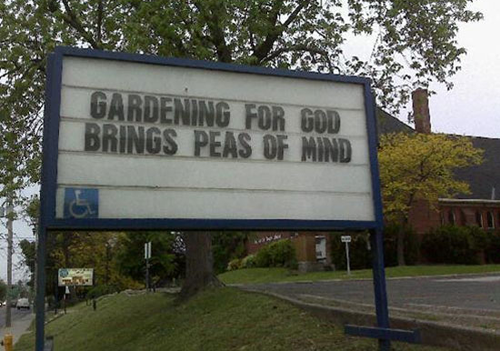 Gardening for God brings peas of mind