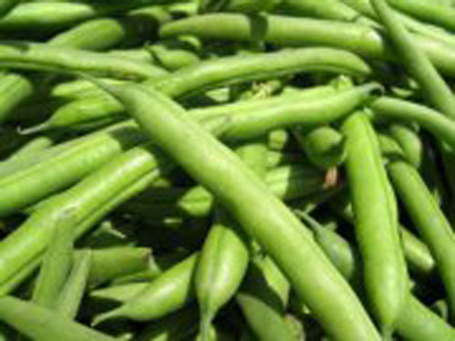 Green_beans