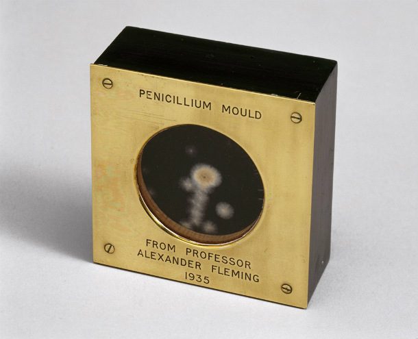 Sample_of_penicillin_mould_presented_by_Alexander_Fleming_to_Douglas_Macleod_1935_(9672239344)