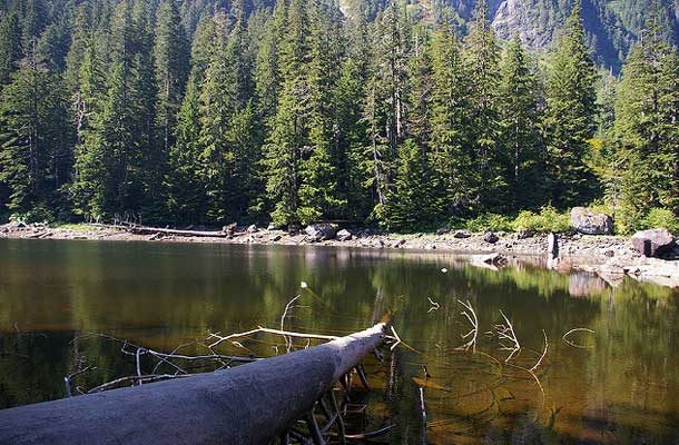 Barclay lake with log in foreground