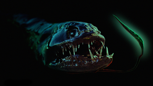 25 Most Terrifying Deep Sea Creatures