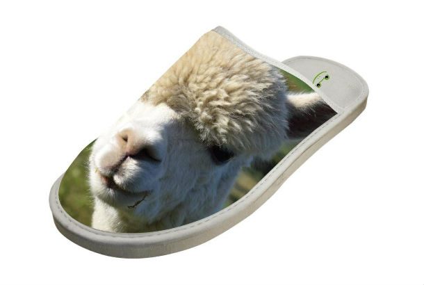 slip on slide shoe with alpaca image