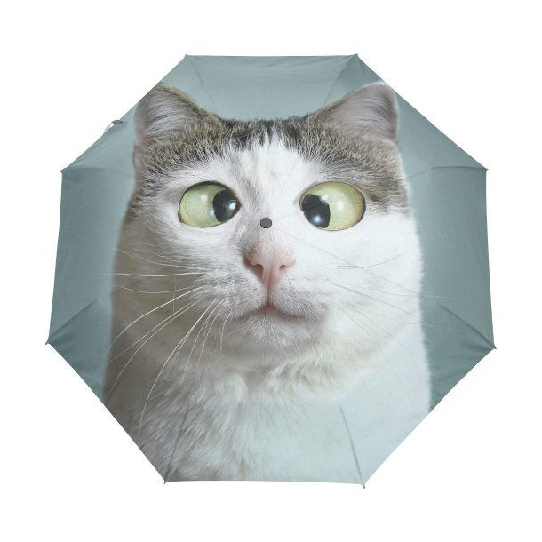 crosseyed cat umbrella