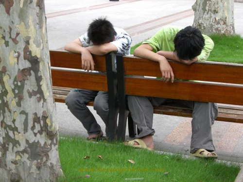 Sleeping on a park bench