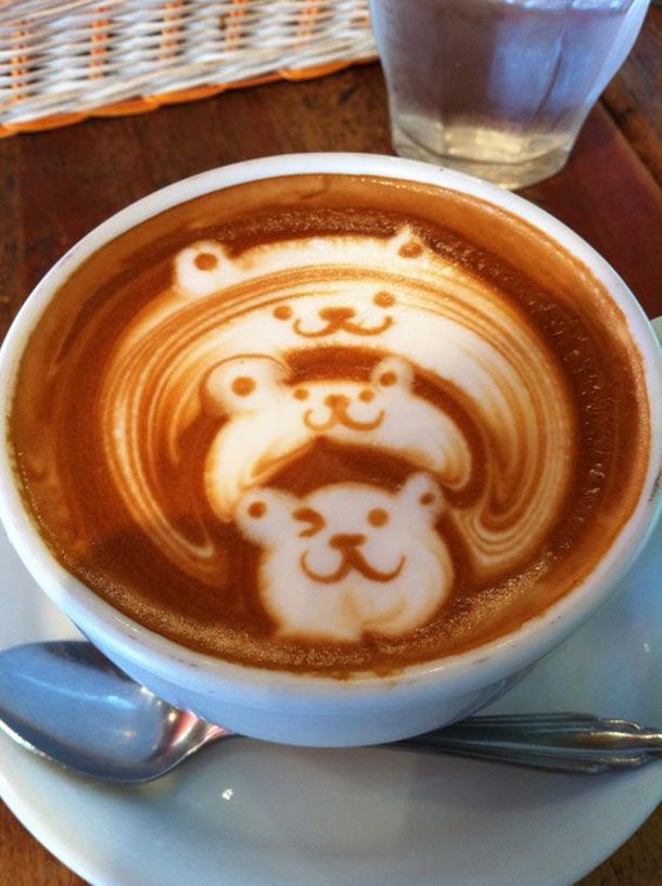 bear latte