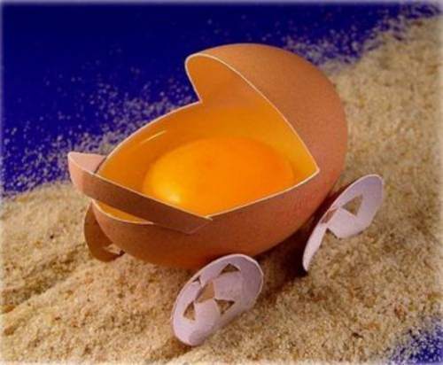 Egg carriage