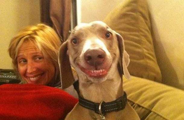 dog with goofy smile