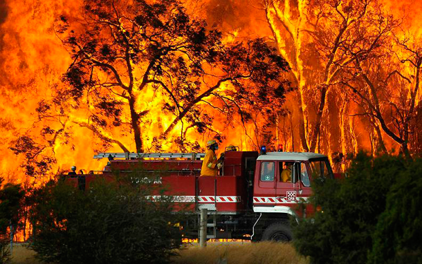 Brushfire - Australia (2009)