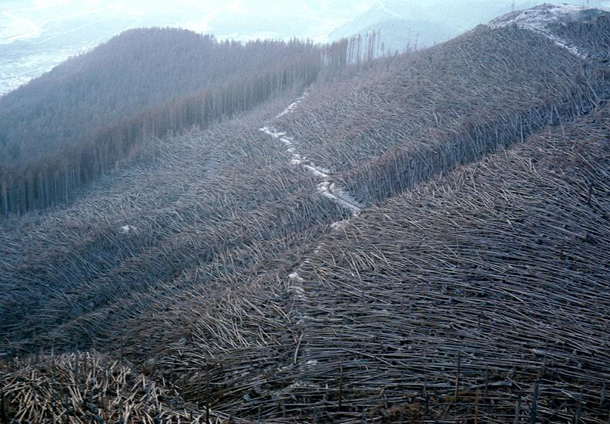 Mt St Helens Volcano Aftermath - Washington (1980)