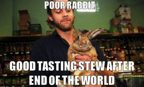 Poor Rabbit Meme
