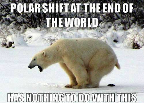 Polar Shift Meme