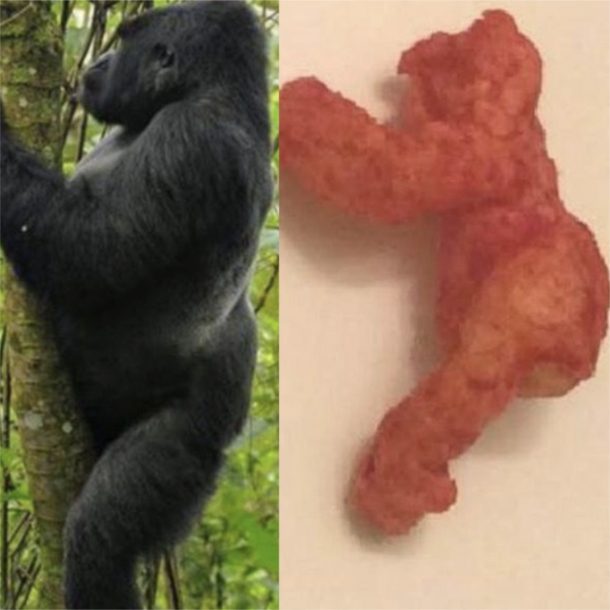 Cheeto piece resembling gorilla
