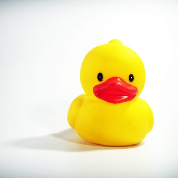 yellow rubber duck on white background