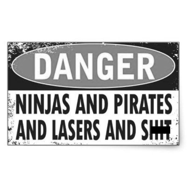 danger ninjas