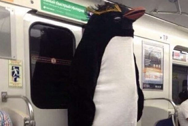 large penguin suit stands on subway
