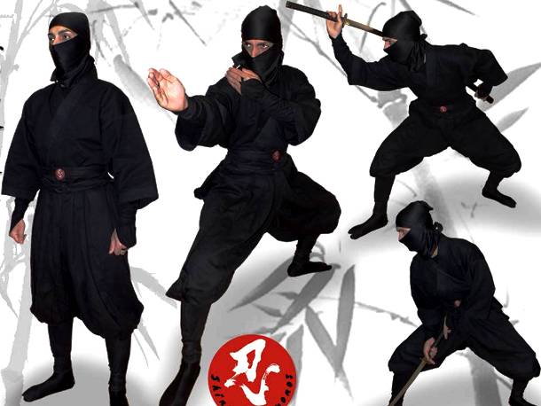 The Ninjas’ “Shinobi Shozoko”