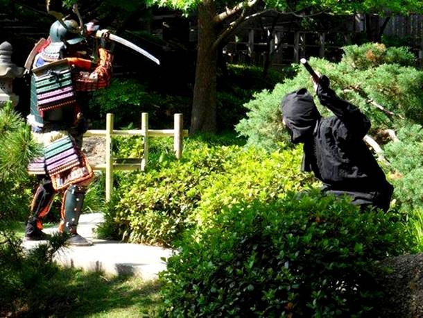Samurais vs Ninjas