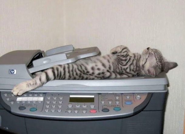 printer sleep