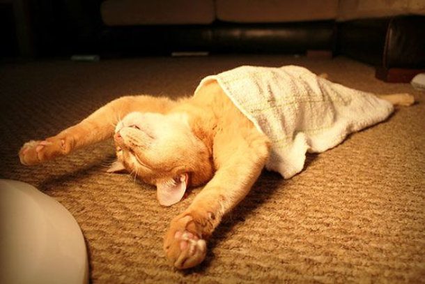sleeping under towel