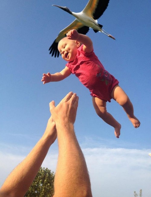 baby and bird