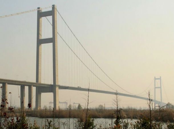 800px-Bushes_in_Runyang_Bridge_Park
