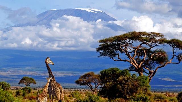 9 Mount Kilimanjaro_tn