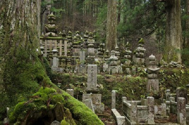 Okuno-in Cemetery Mt. Koya Japan