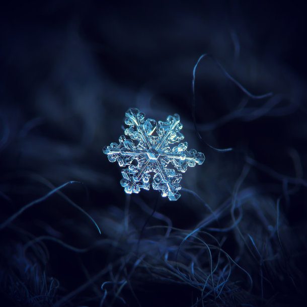 25 Intricate Closeups of Snowflakes