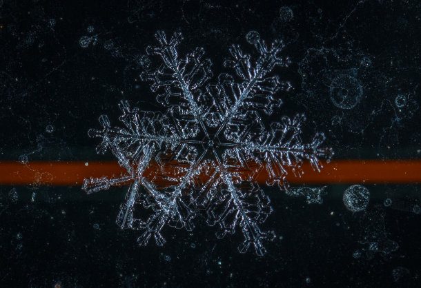 25 Intricate Closeups of Snowflakes