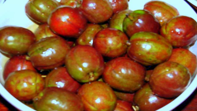 spanish plum