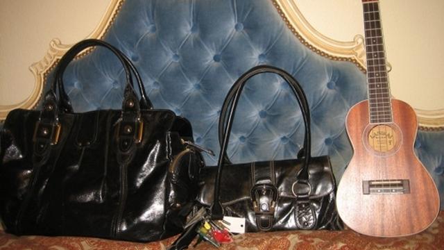 12 classic handbags_tn