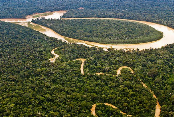Purus river twisting through trees from the air