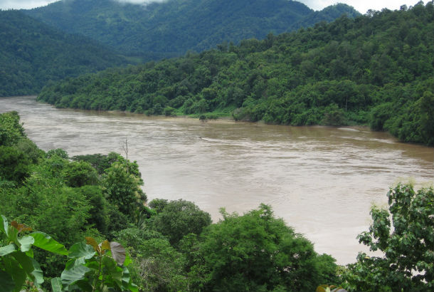 Salween river close up surrounded by trees