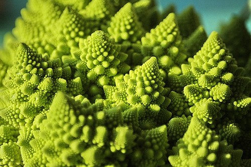 6 broccoli_tn