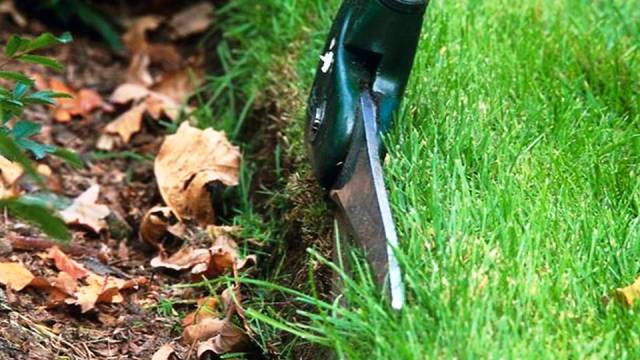 Trim the edges of the lawn