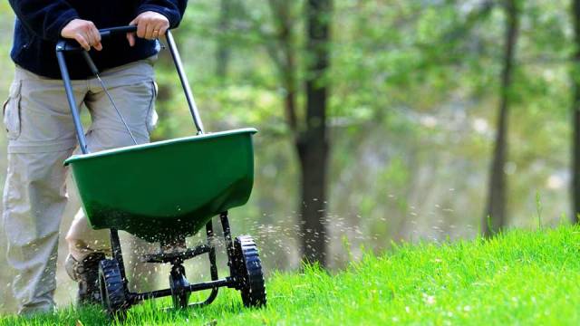 Fertilize your garden regularly