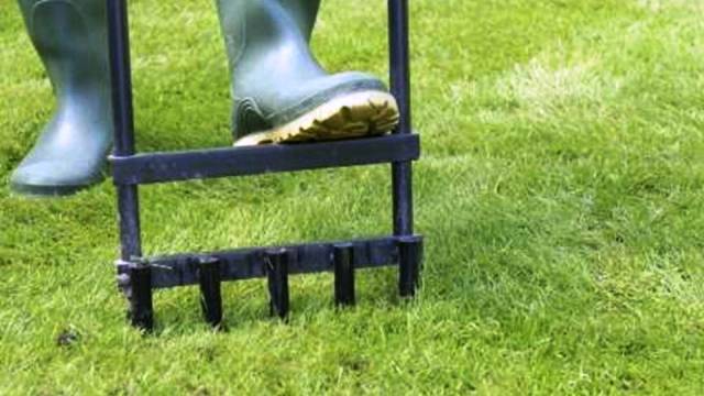 Aerate your lawn