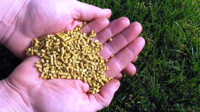 Use corn gluten as herbicide and fertilizer