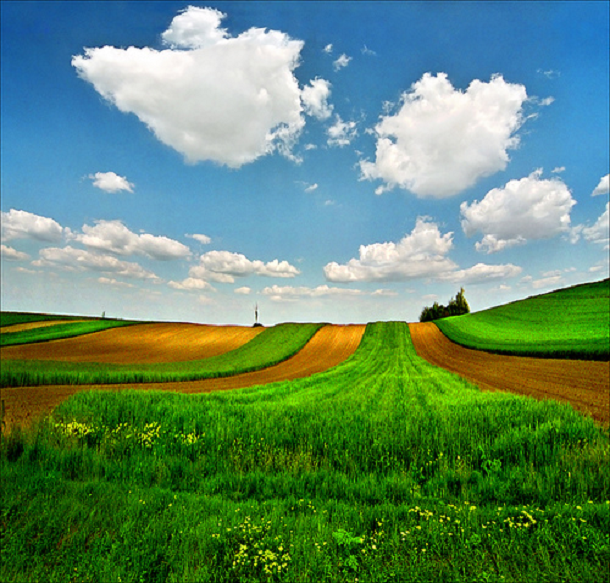 The Pannonian Plain