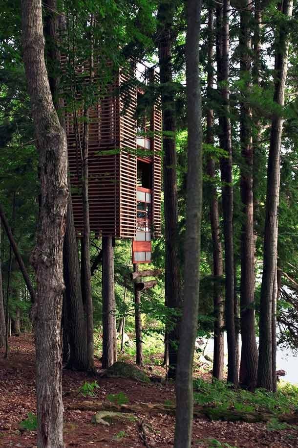 elevated treehouse