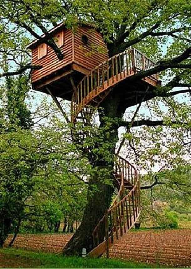 spiral tree house