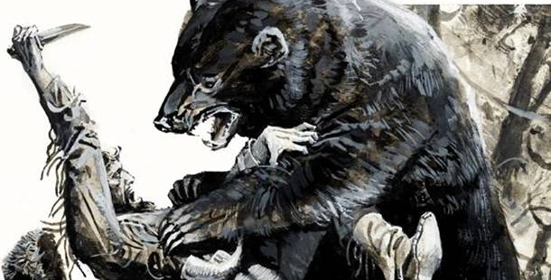 A bear attacking a person