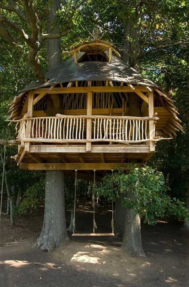 treehouse 4
