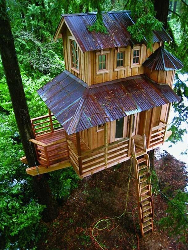 treehouse 6
