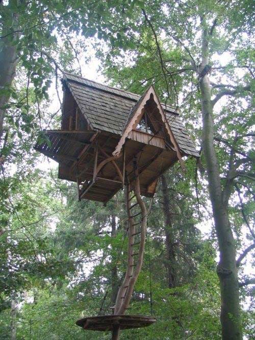 treehouse 8