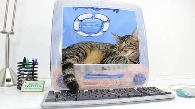 Pet Bed Made out of an Old Computer Monitor