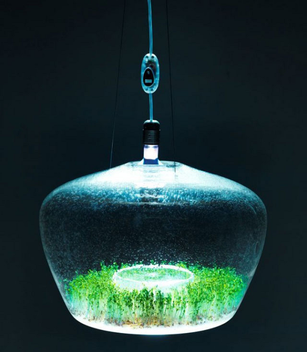 Suspended Glass Greenhouse Lamp