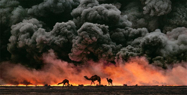 A group of camels in front of a fire